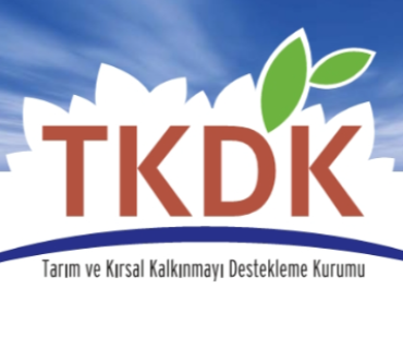 TKDK Projects