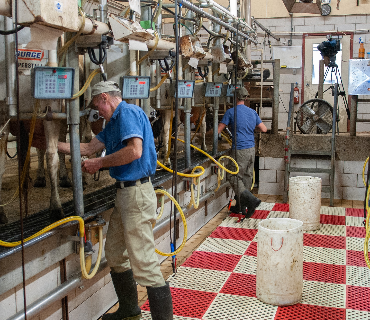 Milk Producing Enterprise Investments